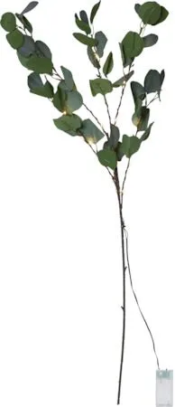 Eucalyptus Dekorationskvist 30 cm - grön - Belysning & el - Inomhusbelysning & lampor - Dekorationsbelysning