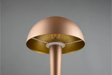 Canaria Bordslampa E14 (inkl.) kaffe brun - Brun - Belysning & el - Inomhusbelysning & lampor - Fönsterlampa - Fönsterlampa på fot