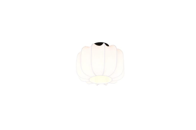 Taklampa TRIO Madeline 25 cm, 25 cm
