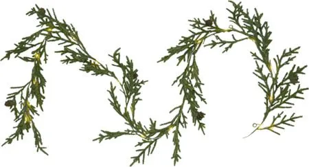 Lummer Girland 180 cm - grön - Belysning & el - Julbelysning - Övrig julbelysning
