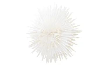 Sälen Adventsstjärna / Jullampa 100 cm - Vit - Belysning & el - Julbelysning - Jullampor