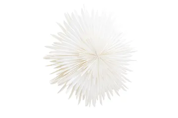 Sälen Adventsstjärna / Jullampa 100 cm - Vit - Belysning & el - Julbelysning - Jullampor