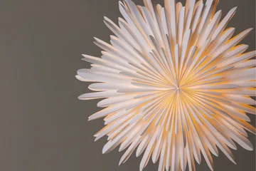 Sälen Adventsstjärna / Jullampa 60 cm - Vit - Belysning & el - Julbelysning - Jullampor