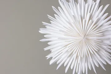 Sälen Adventsstjärna / Jullampa 60 cm - Vit - Belysning & el - Julbelysning - Jullampor