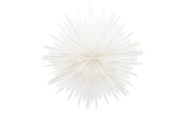 Sälen Adventsstjärna / Jullampa 100 cm - Vit - Belysning & el - Julbelysning - Jullampor