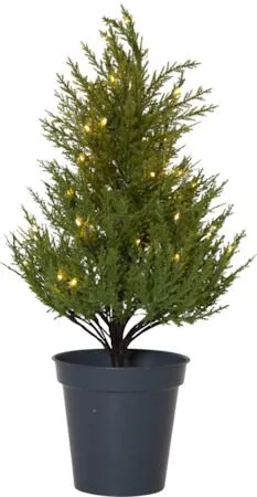 Thuja Dekorationsträd 55 cm - grön - Belysning & el - Julbelysning - Julbelysning utomhus