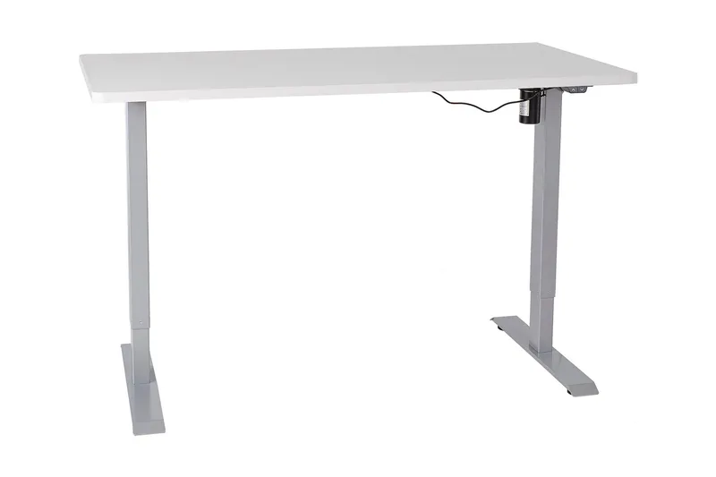 Ergosum Skrivbord 140 cm Höj-och Sänkbar, Grå/Vit