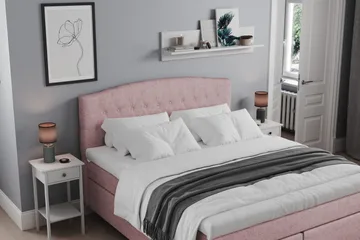 Medium / Fast - Rosa