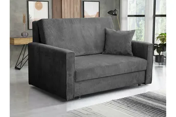 Denegal 2-sits liten bäddsoffa i Manchester - Grå - Möbler - Soffa - Bäddsoffa