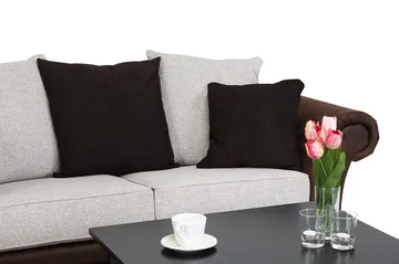 Toronto 2-sits Soffa - Brun/Beige - Möbler - Soffa - Skinnsoffor