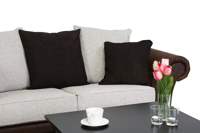 Toronto 2-sits Soffa - Brun/Beige - Möbler - Soffa - Skinnsoffor