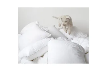 Täcke Hotelltäcke 220 x 210 cm - Franzén - Textil & mattor - Sängkläder - Täcke - Dubbeltäcke