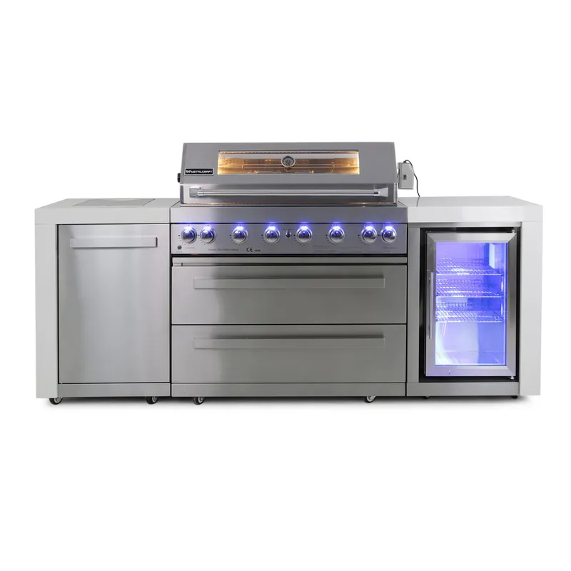 Stor rostfri gasolgrill/utekök | Austin