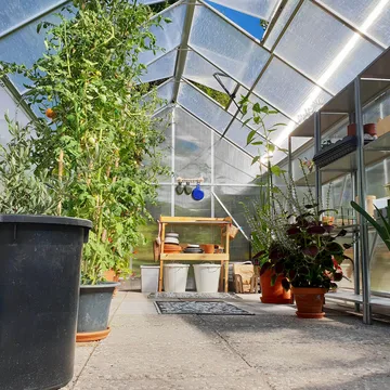 Växthus 12,4m² | Extra hög odlingshöjd | 6mm kanalplast - Trädgård & spabad - Trädgårdsskötsel - Växthus