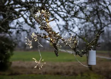 Flower Ljusslinga - silver - Trädgård & spabad - Utemiljö - Altan & terrass - Altanbelysning