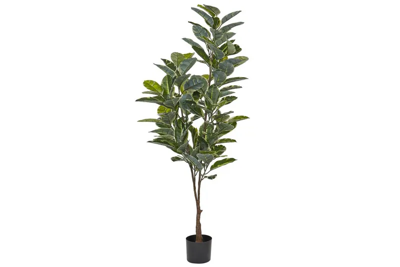 Konstgjord växt Ficus Elastica