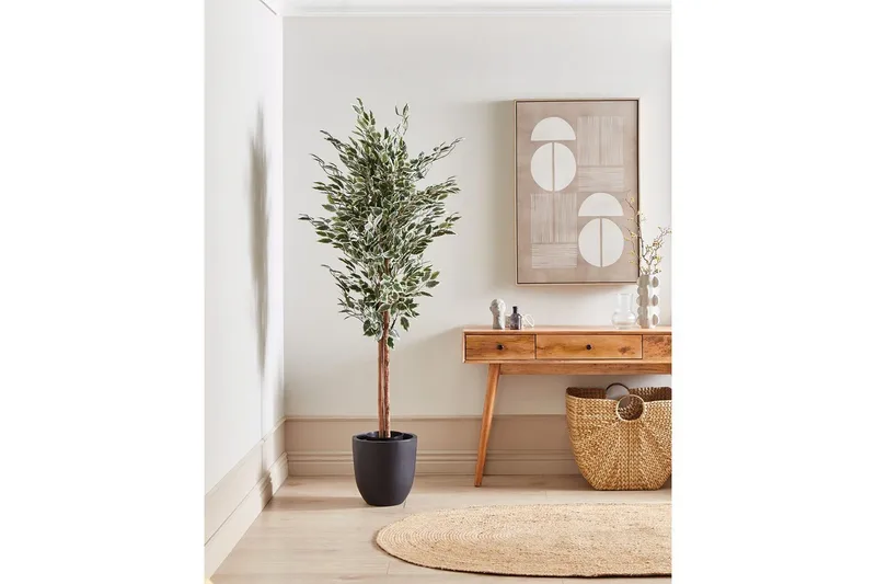 Konstgjord växt Ficus - Inredning - Konstgjorda växter & plastväxter