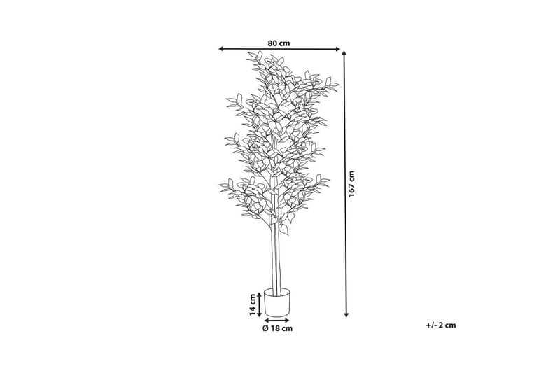 Konstgjord växt Ficus - Inredning - Konstgjorda växter & plastväxter