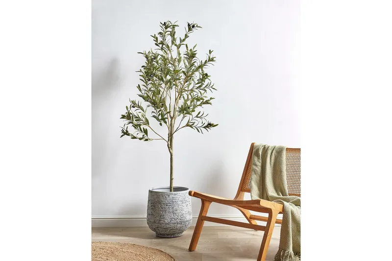 Konstgjord växt Olive Tree 63x63x153 cm - 63x63x153 cm - Inredning - Konstgjorda växter & plastväxter