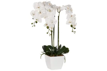 Konstgjord växt Orchid 22x22x59 cm - 22x22x59 cm - Inredning - Konstgjorda växter & plastväxter