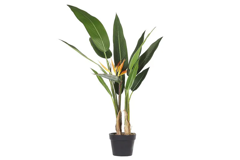 Konstgjord växt Strelitzia Tree